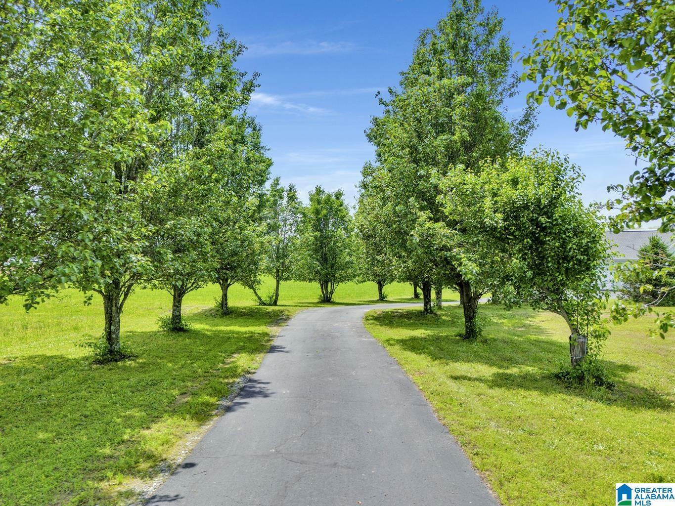 Property Photo: 81 County Road 546 AL 35077