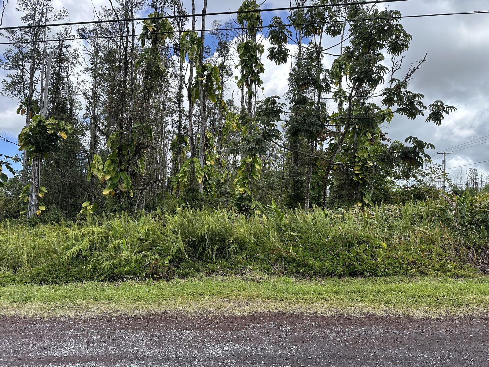 Property Photo:  16-2648 Ainaloa Dr  HI 96778 