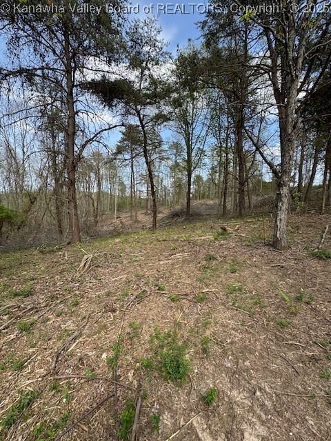 Property Photo: 0 Blessing Lane WV 25271