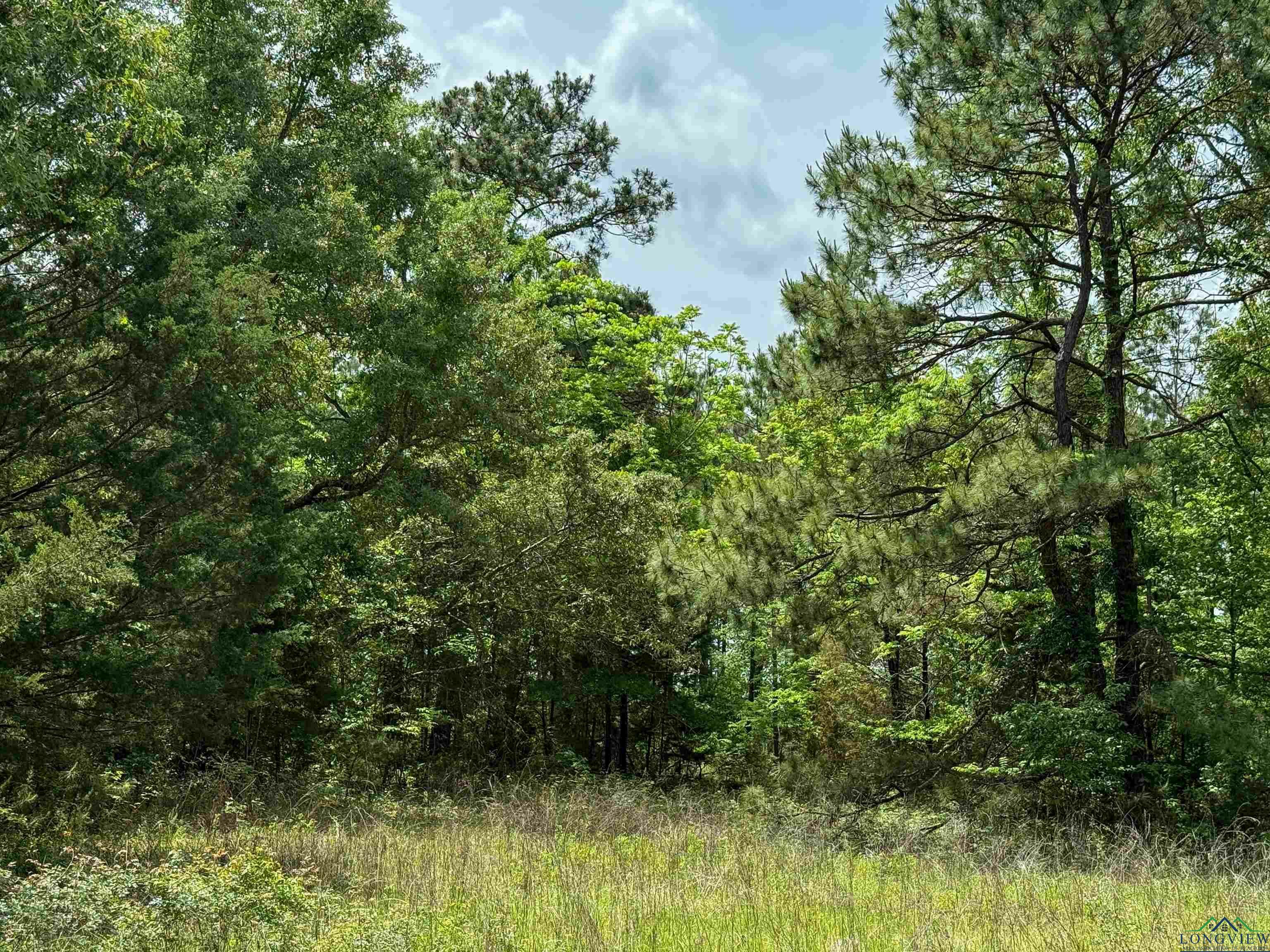 Property Photo: 0002 Cr 1349 TX 75563