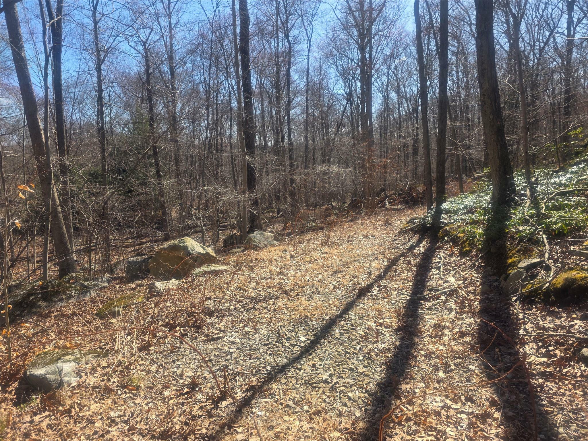 Property Photo: South Road NY 12531