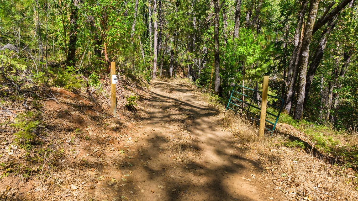 Property Photo: 21345 Kuntz Court CA 95959