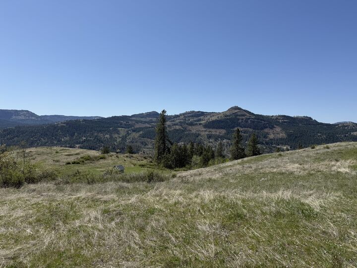 Property Photo:  26 Grandview Rd  WA 99118 