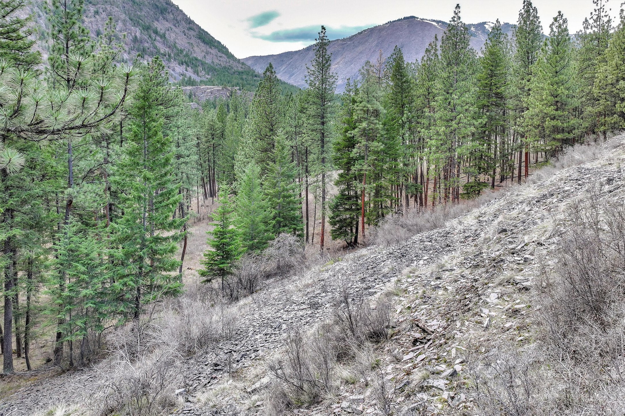 Property Photo: Nhn Profile Rock MT 59820