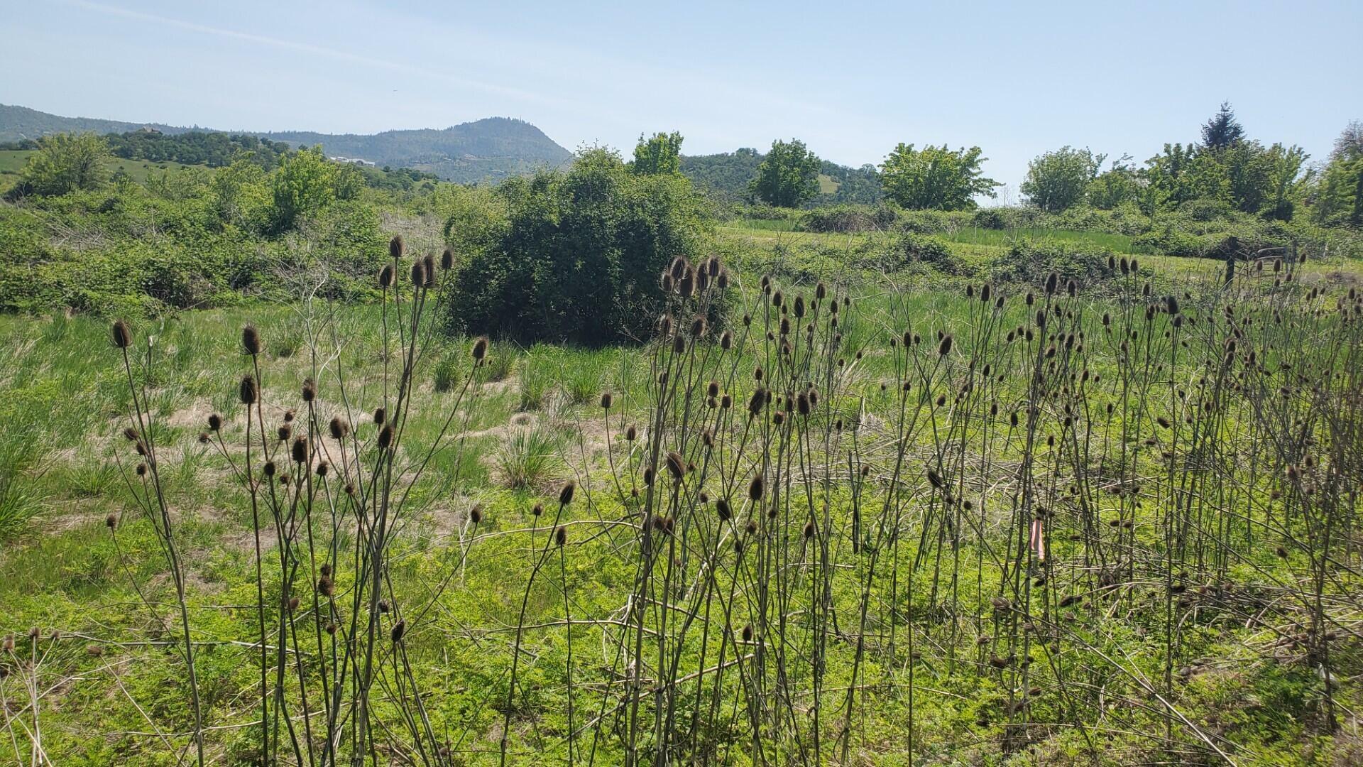 Property Photo: 0 Crater Lake Avenue 13.52 OR 97504