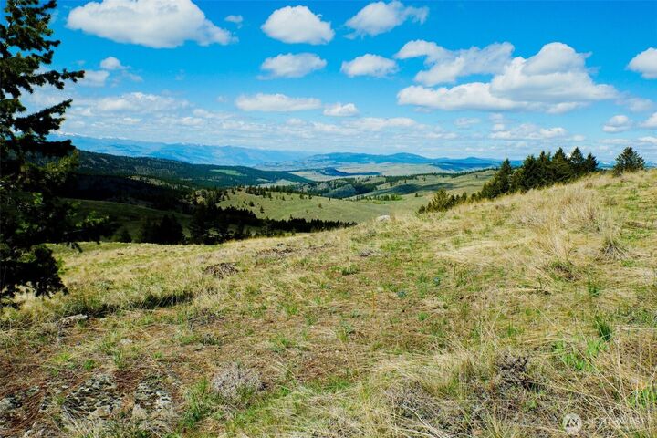 Property Photo:  0 Tbd  Janet Marie Road  WA 98844 