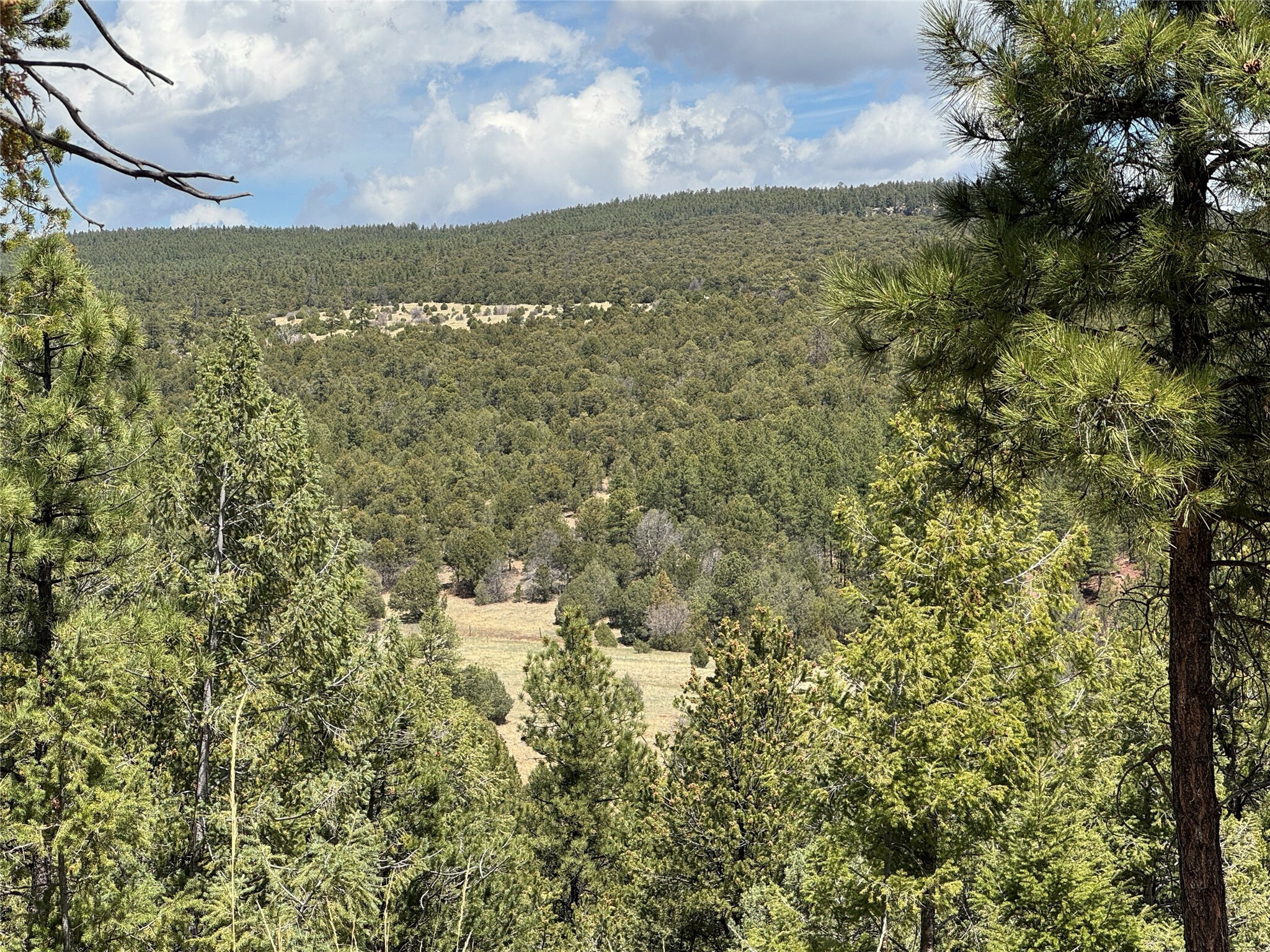 Property Photo: 21 Los Nidos Lane NM 87552
