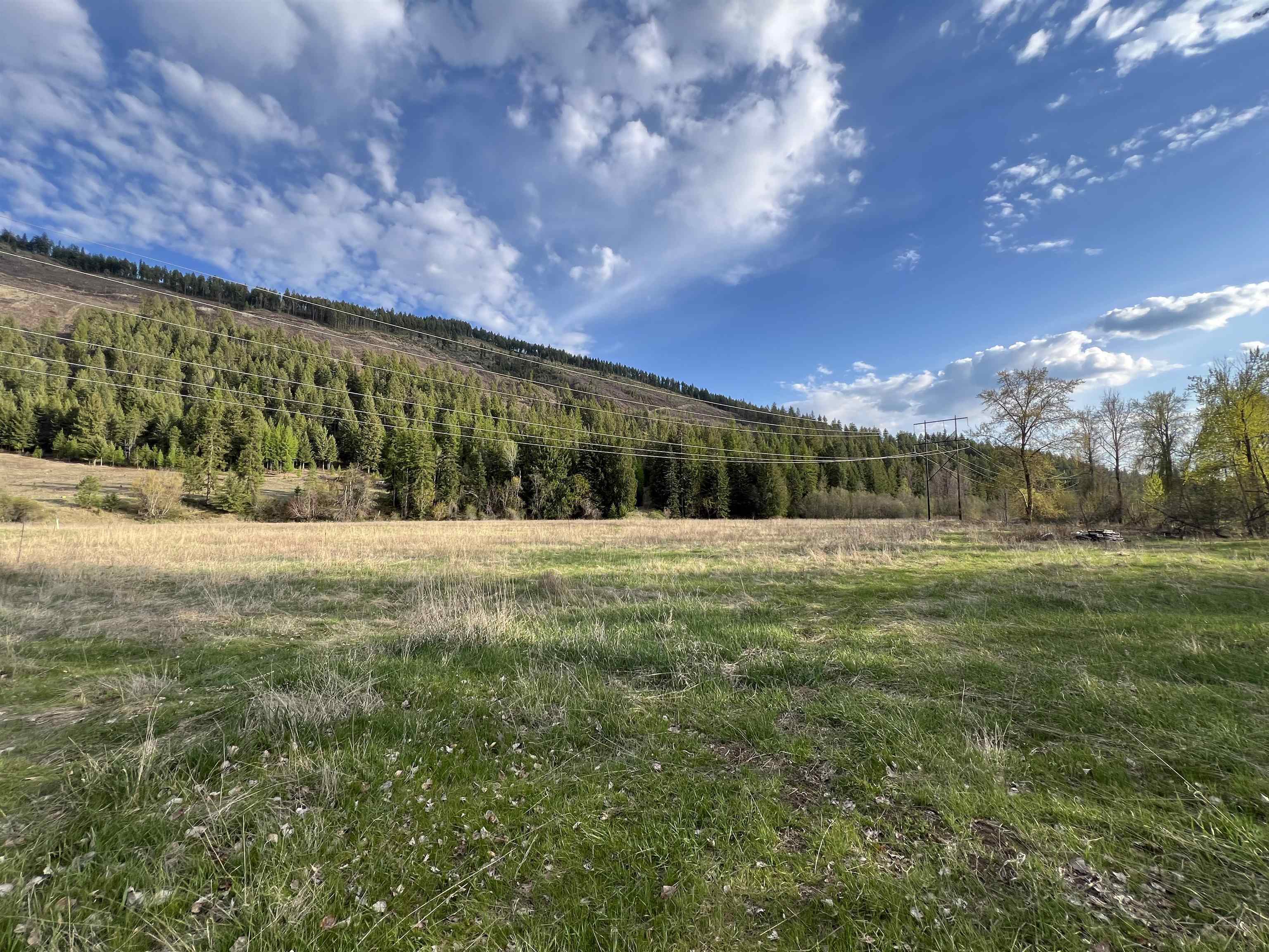 Property Photo: 588-Tbd Aladdin Rd WA 99114
