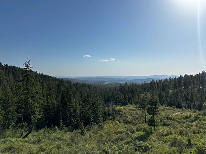 27312 N Jackson Rd  Chattaroy WA 99003 photo