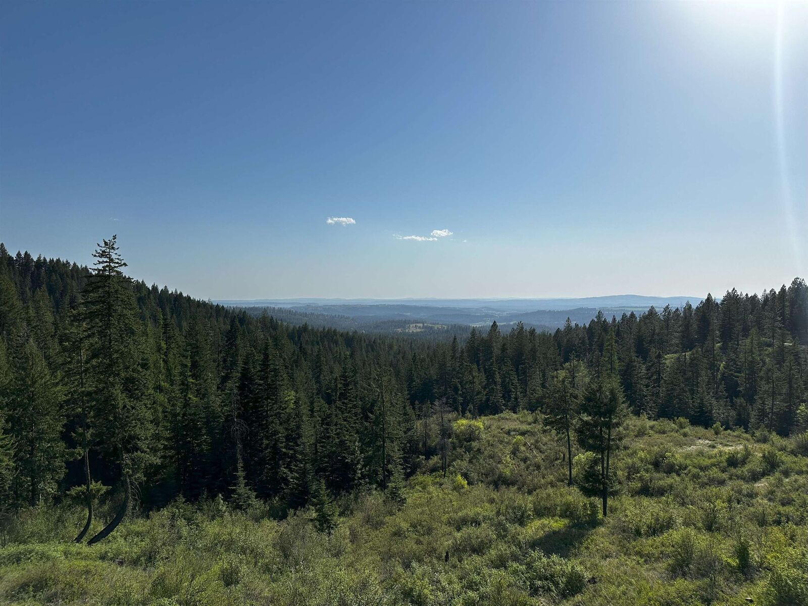 Property Photo:  27312 N Jackson Rd  WA 99003 