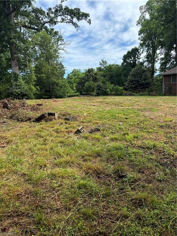 Property Photo: 656 Naomi Avenue NC 27284