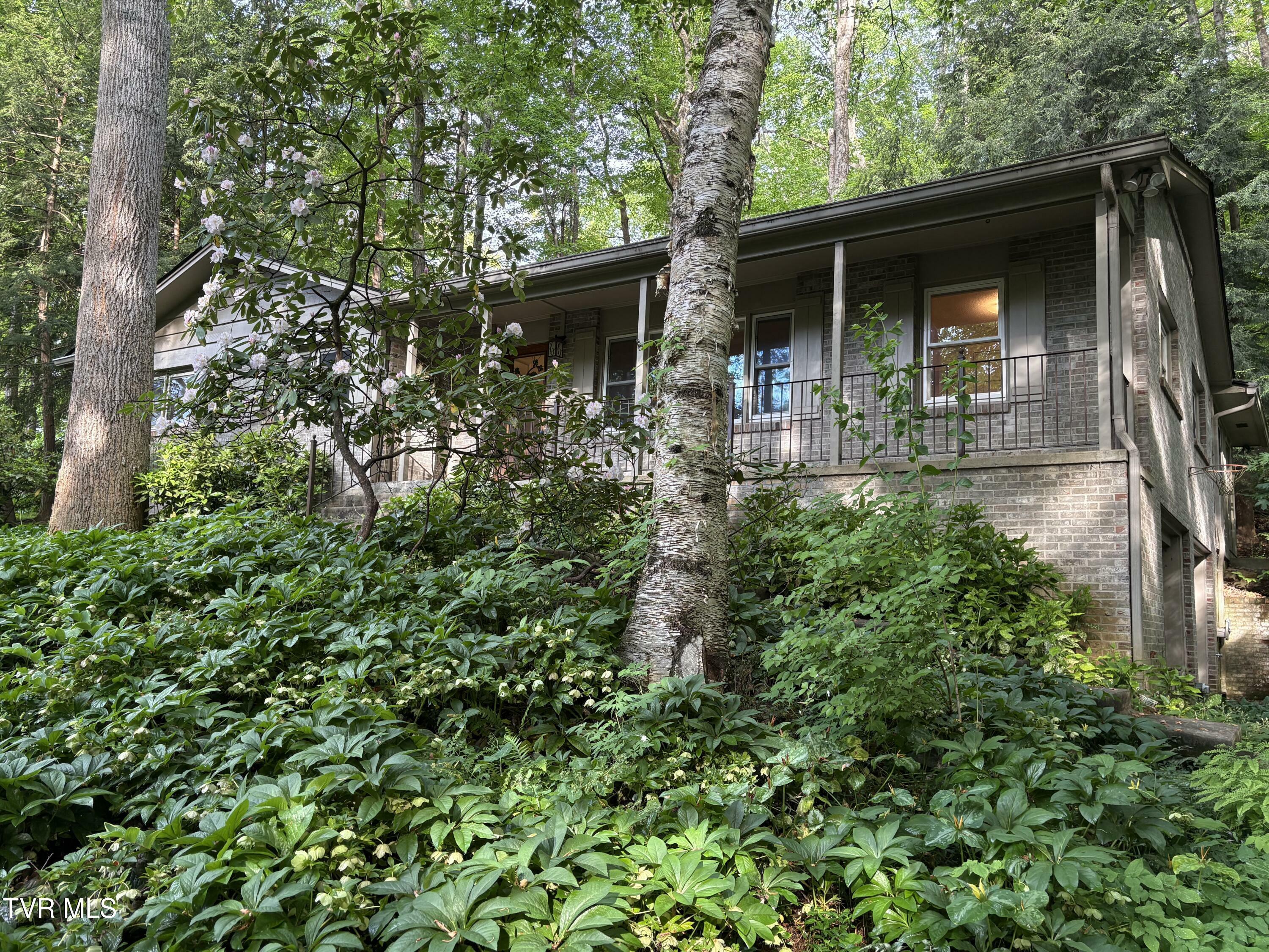 Property Photo: 5 White Oak Court TN 37604