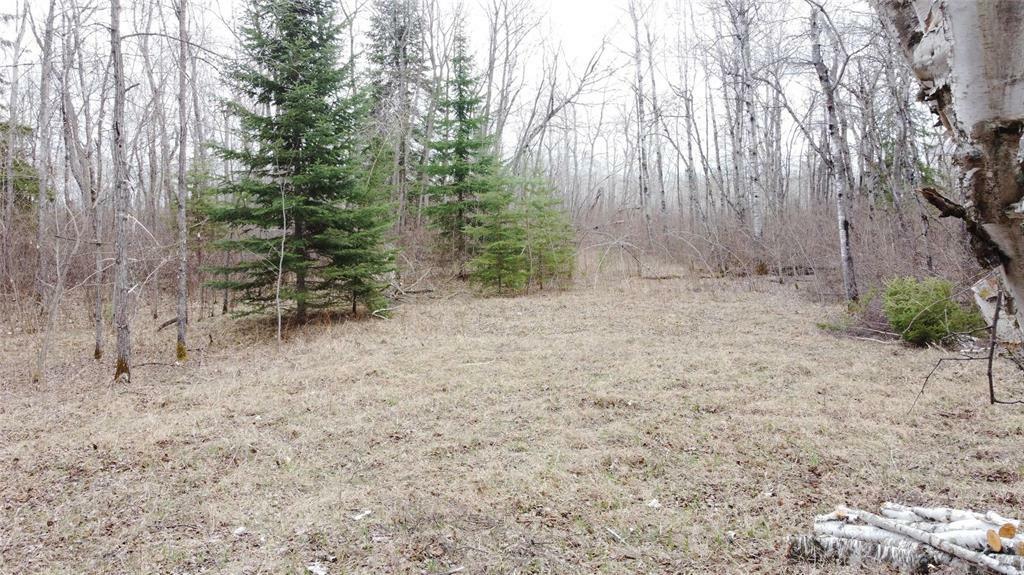 Property Photo: 0 90E Main Street Road North MB R0A 1B0
