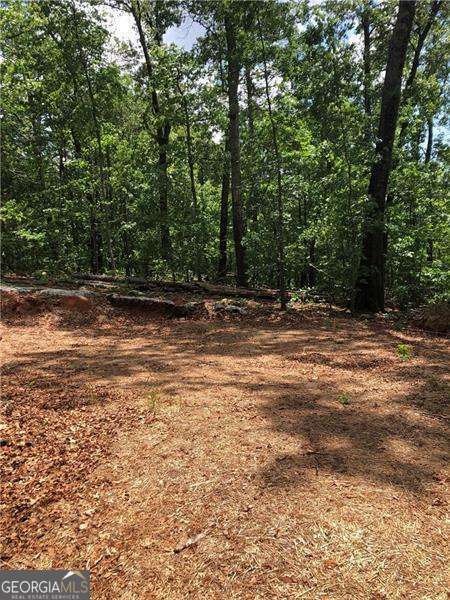 1601 Lost Mountain Road  Powder Springs GA 30127 photo