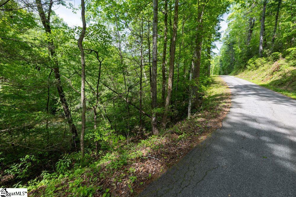 Property Photo: Saluda Drive SC 29661