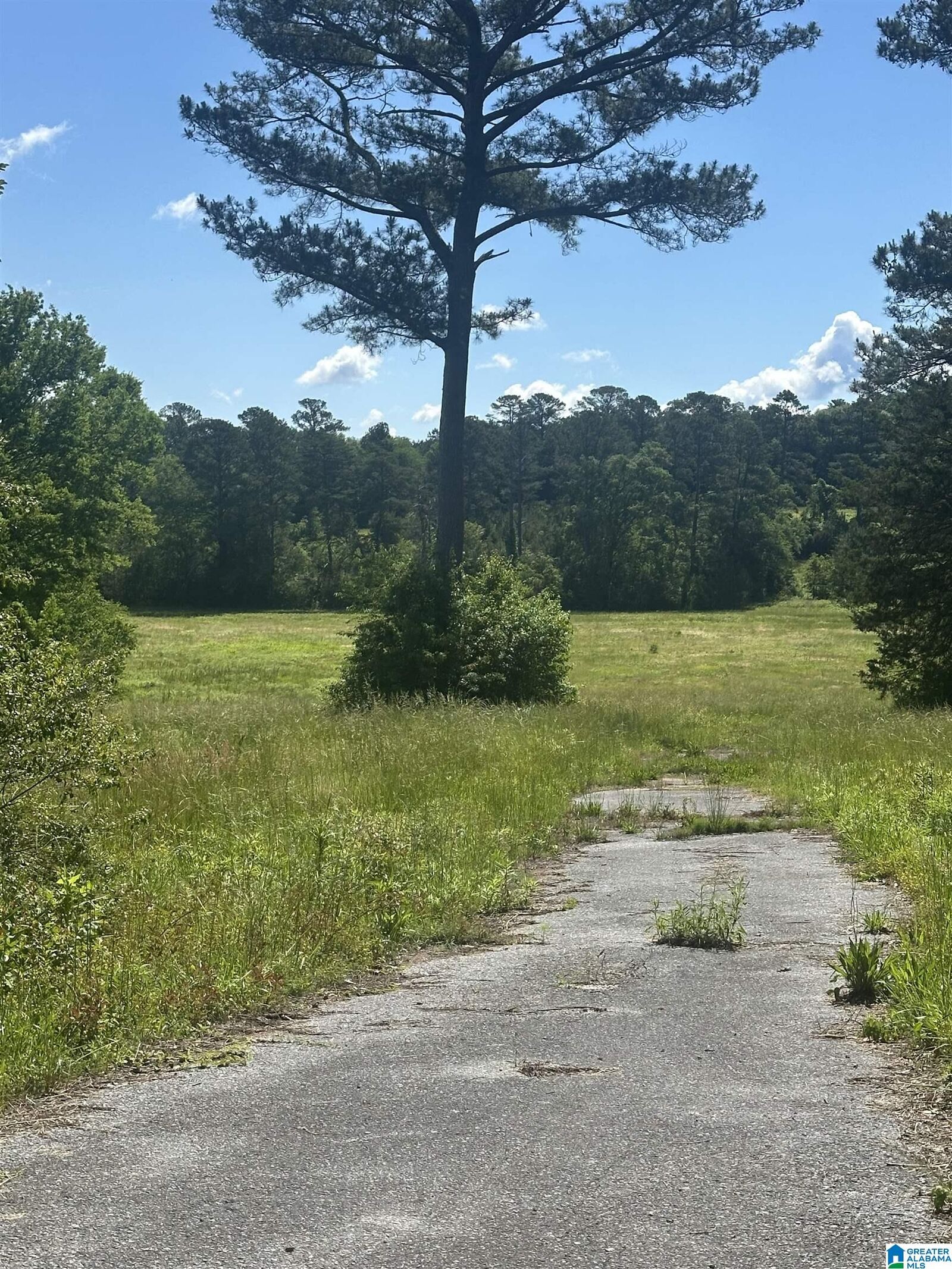 Property Photo:  1225 Pine Harbor Road 11  AL 35128 