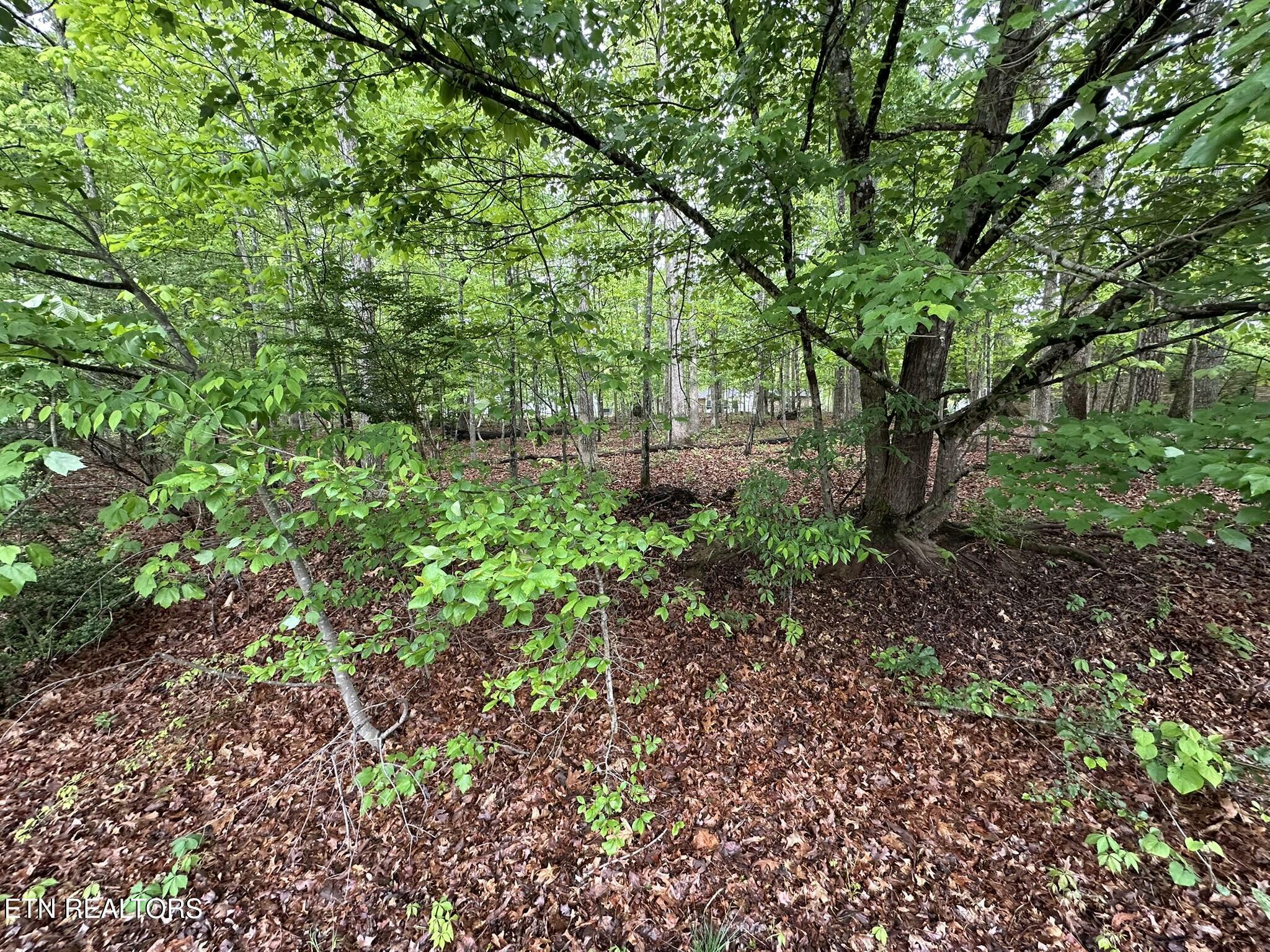 Property Photo: 114 & 116 Shore Lane TN 38558