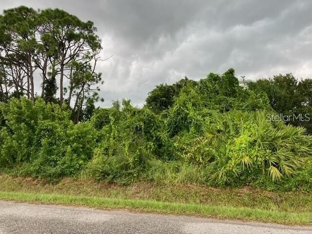 Property Photo:  Conrad Road  FL 34293 