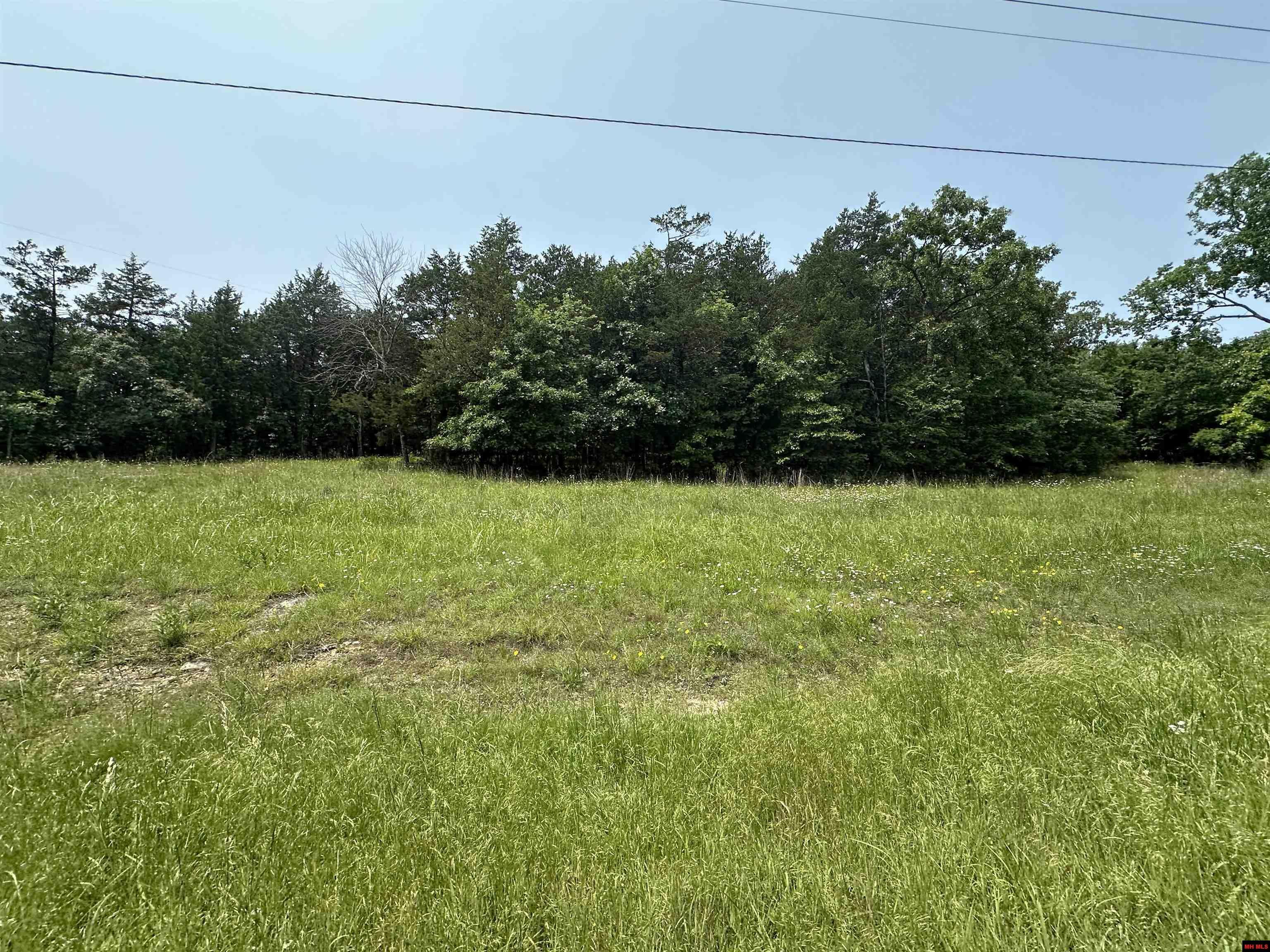 775-00832-000 Somonauk Drive  Diamond City AR 72630 photo