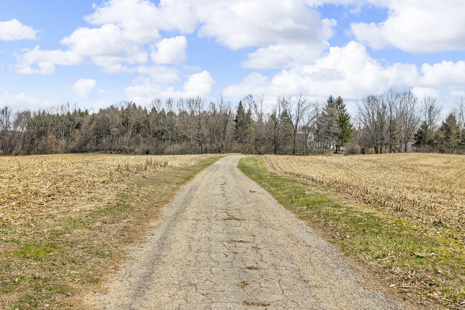 Property Photo: 9875 Rountree Road MI 49241