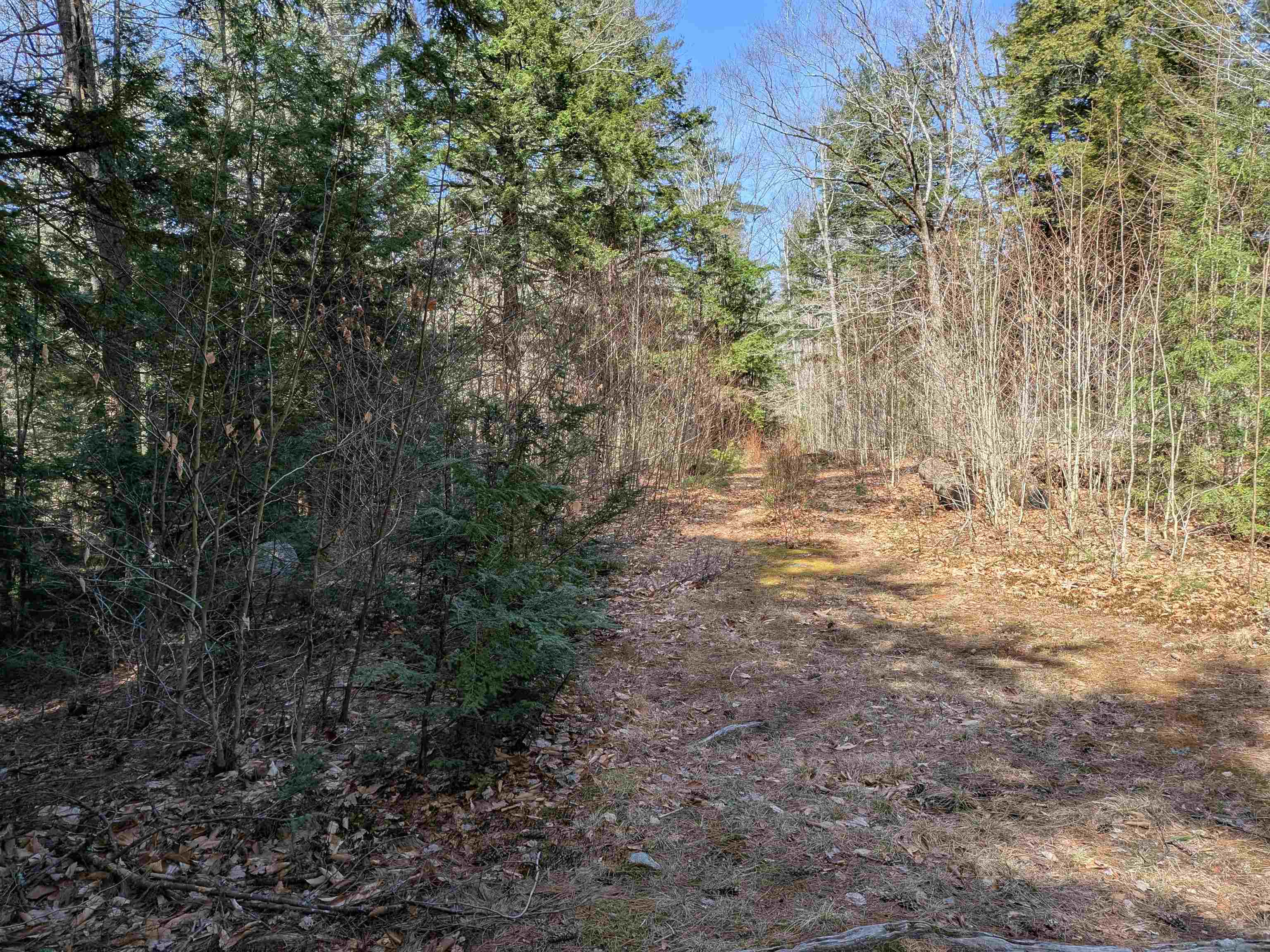 Property Photo: 2-56 Caesars Road NH 03057