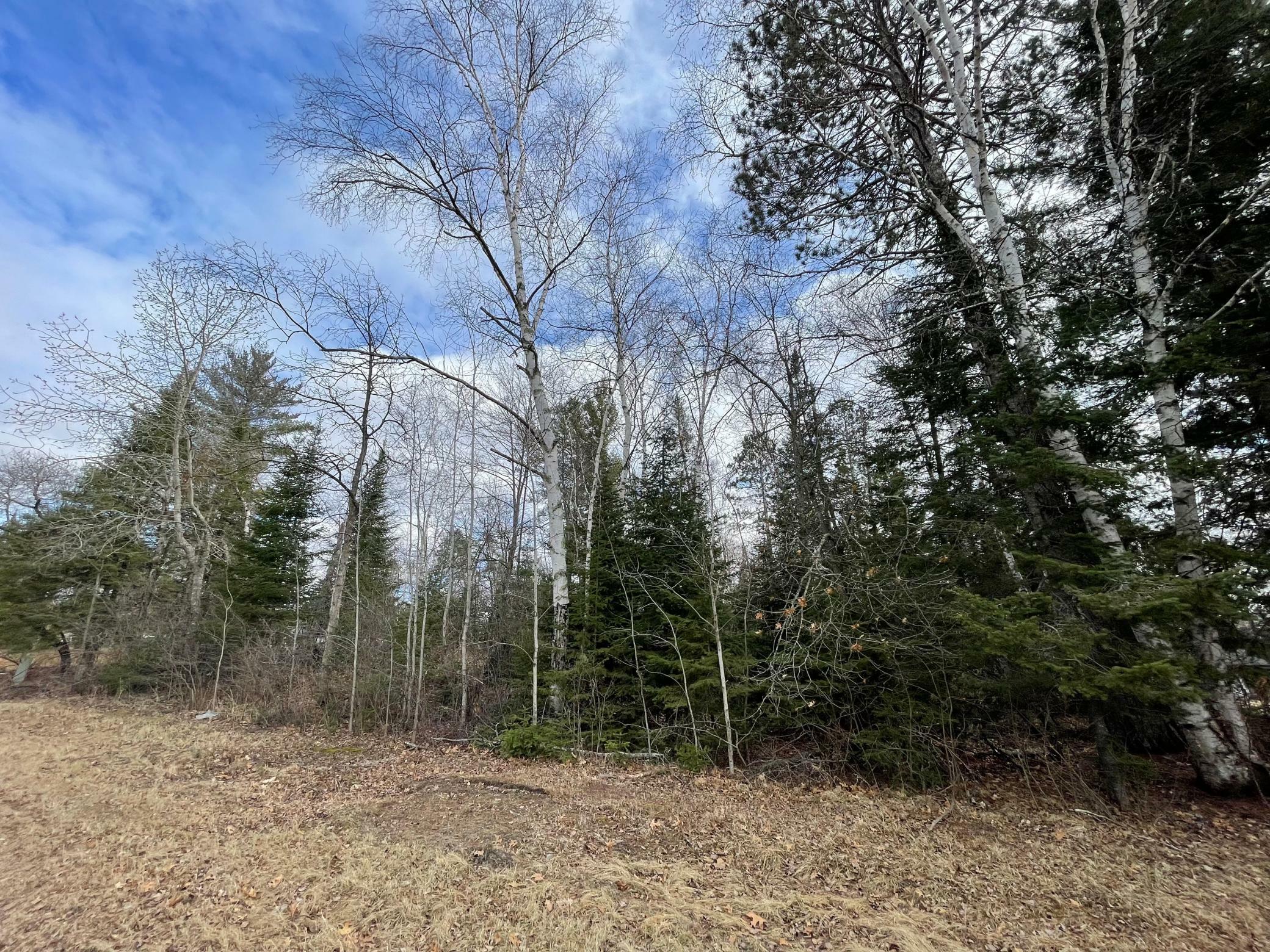 Property Photo: Tbd Wildwood Road MN 56633