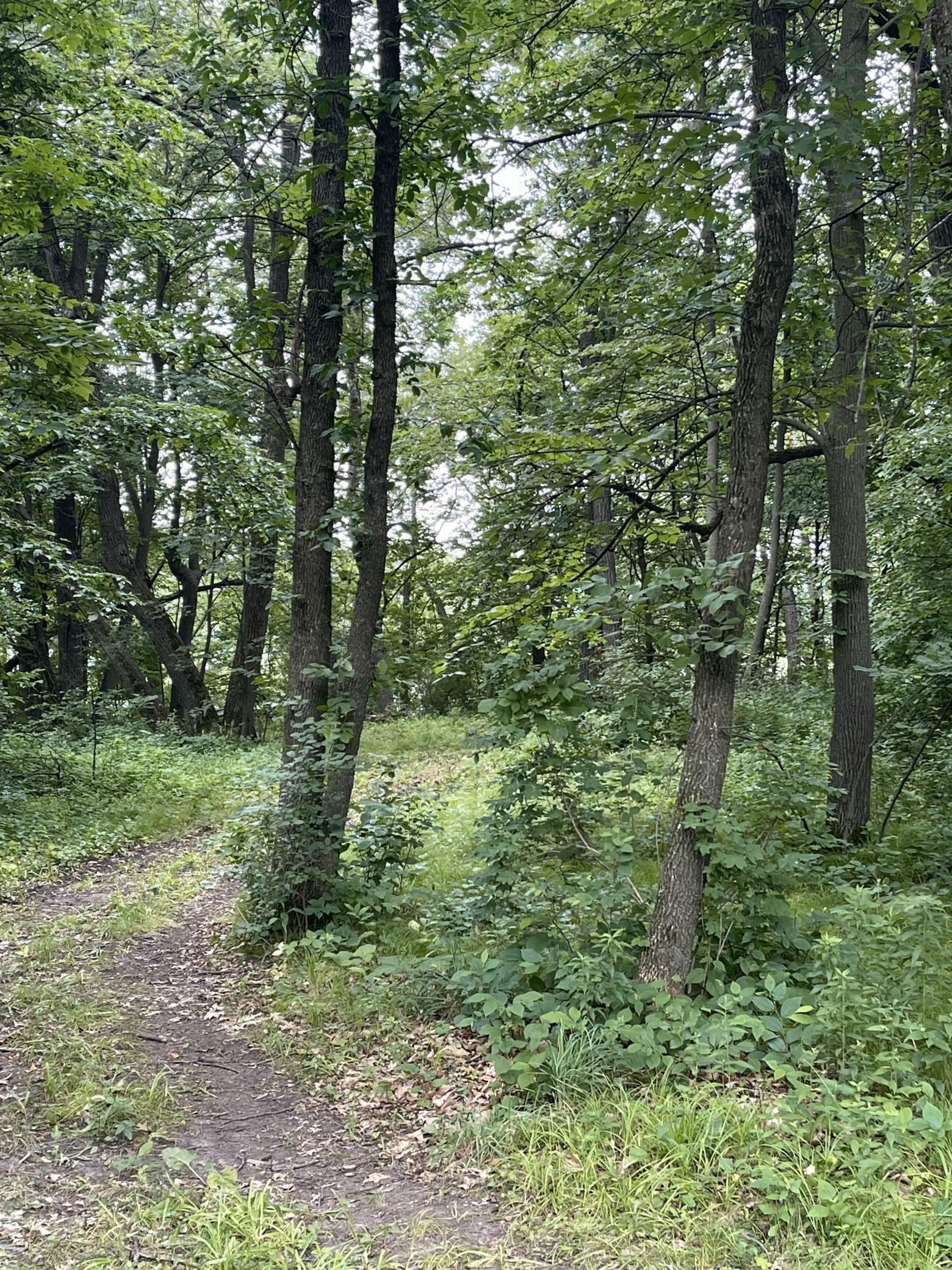 Property Photo: 24325 180th Street MN 56362