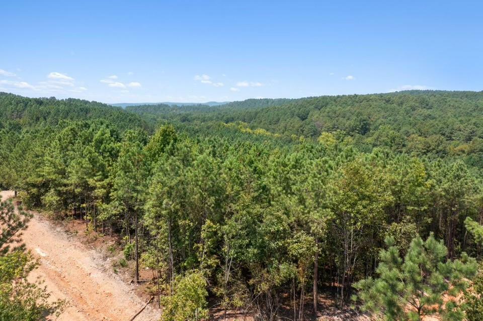 Property Photo: 310 Kaisley Blue Eye Way OK 74728