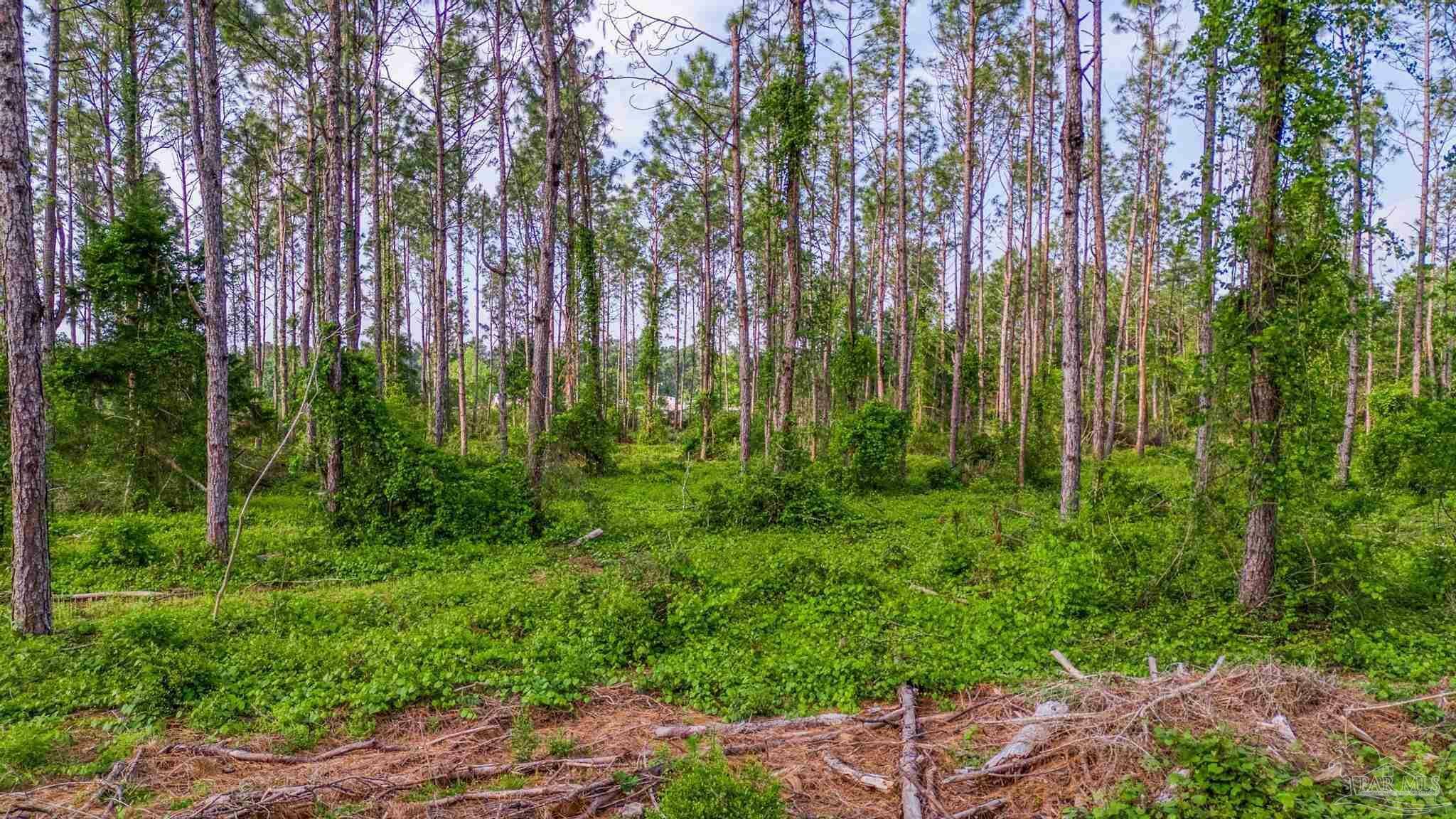 Property Photo: 0002 Martin Rd FL 32570