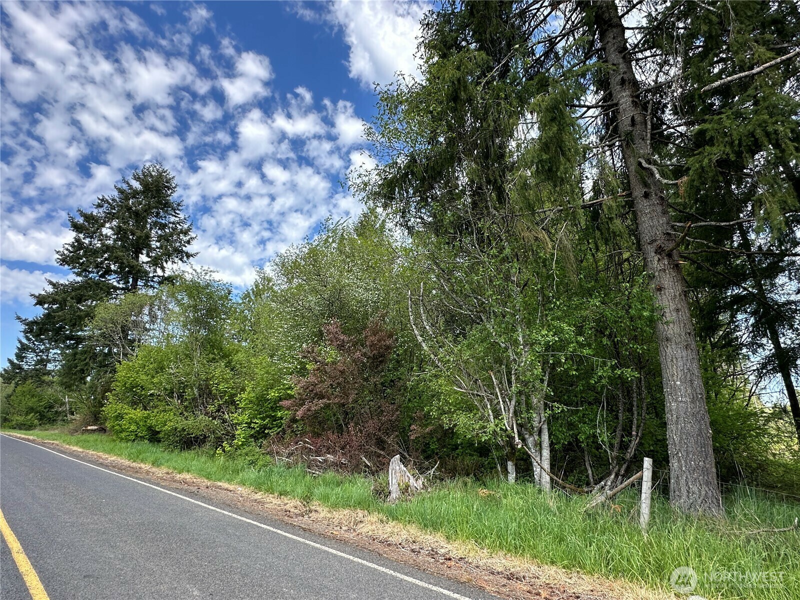Property Photo: 0 Park Road WA 98596