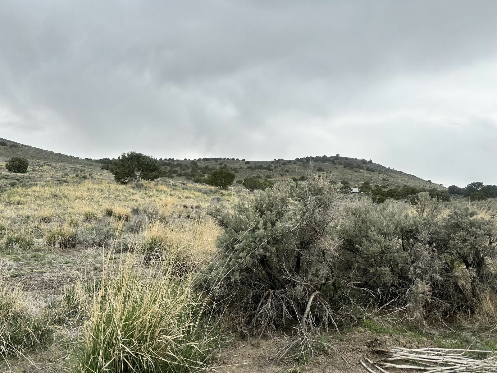 Property Photo: Tbd Lund Avenue NV 89801