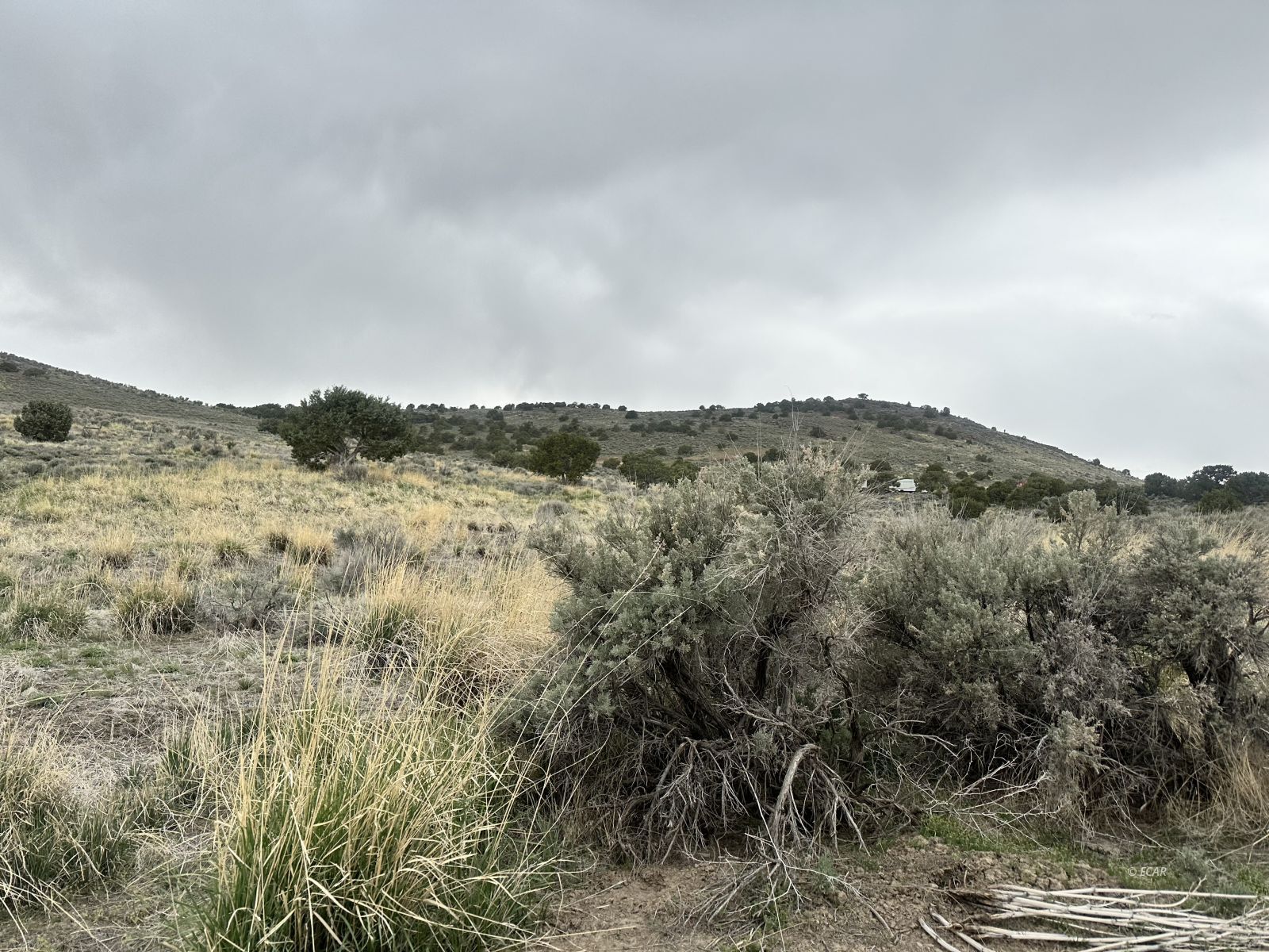 Property Photo:  Tbd Lund Avenue  NV 89801 