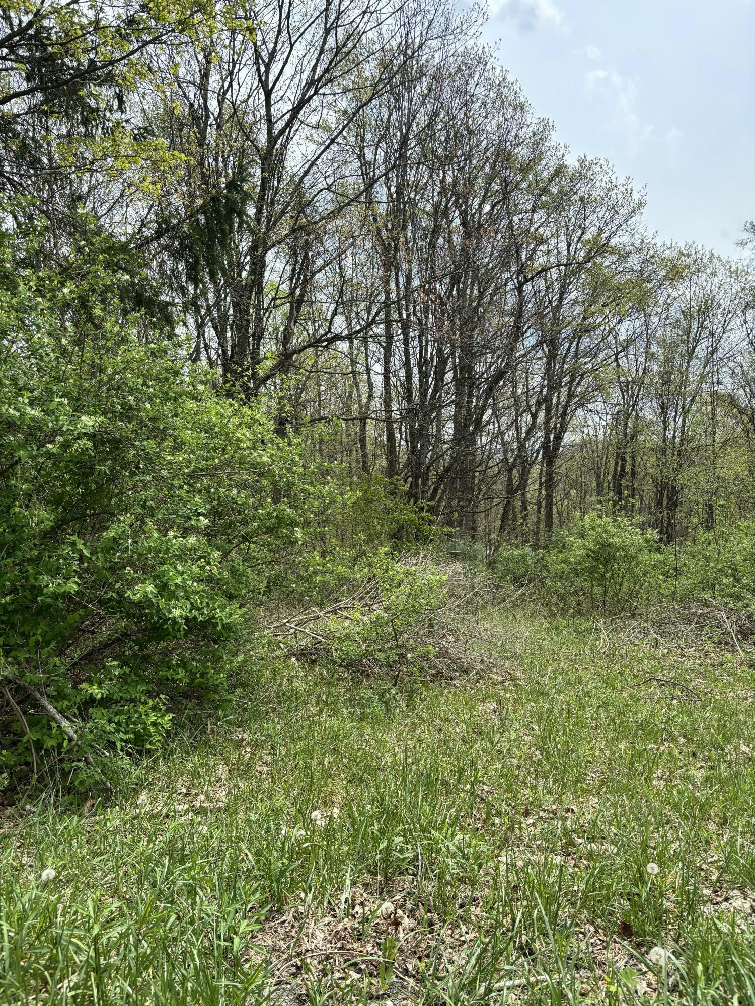 Property Photo: 6134 Snowhill Rd WV 26679
