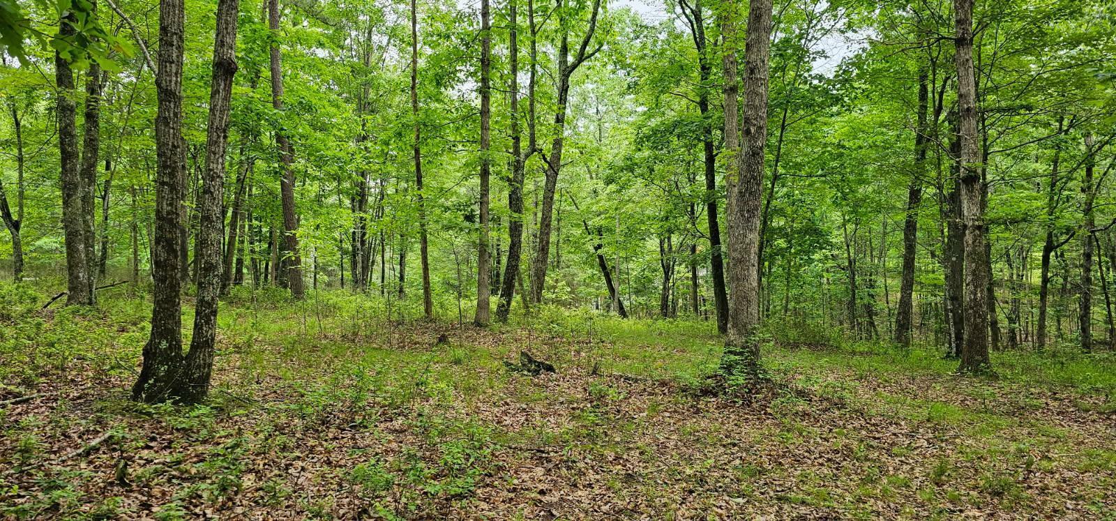 Property Photo: 0 2 Lake Trl TN 37327