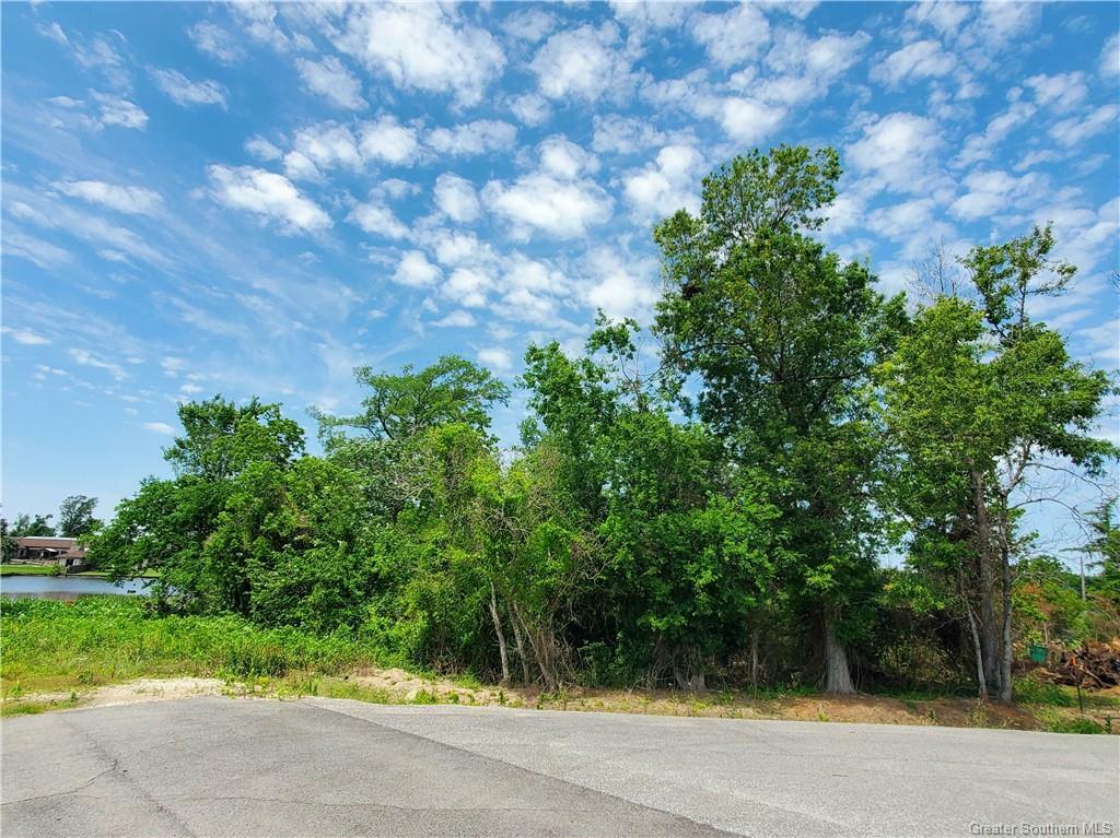 Property Photo: 0 Joan Street LA 70669