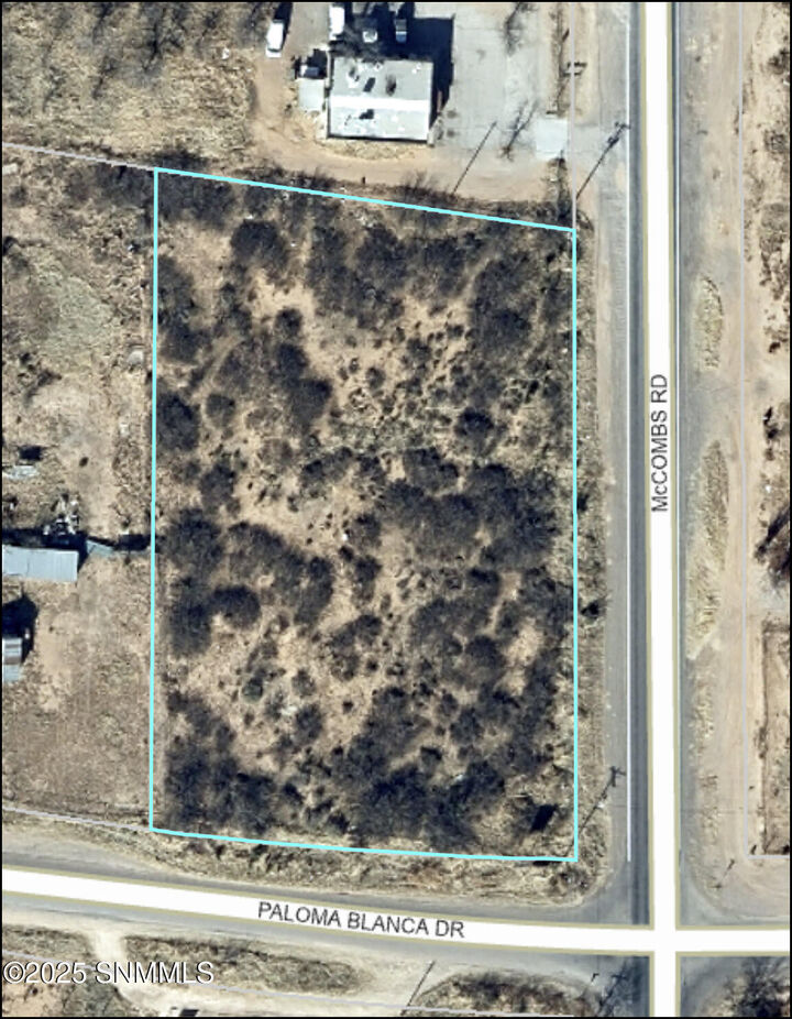 Property Photo:  418 McCombs Road  NM 88081 