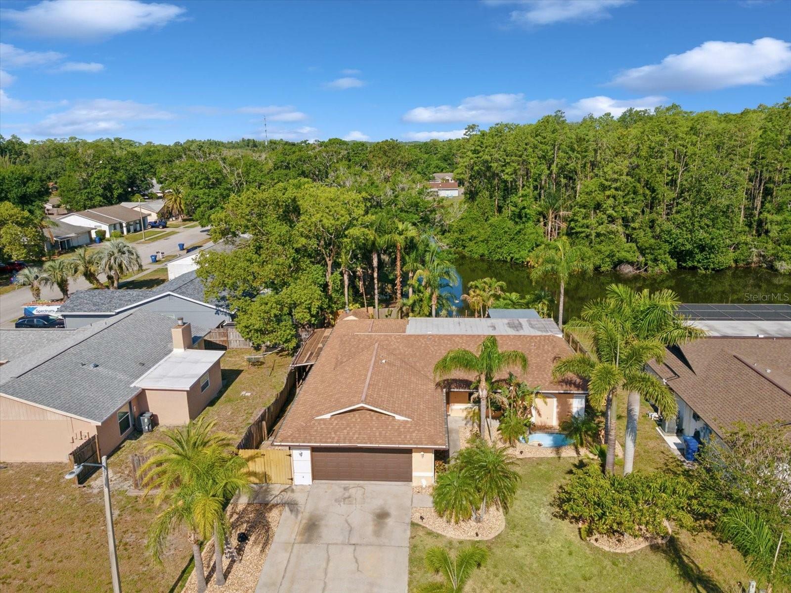 Property Photo: 4519 Swallowtail Drive FL 34653