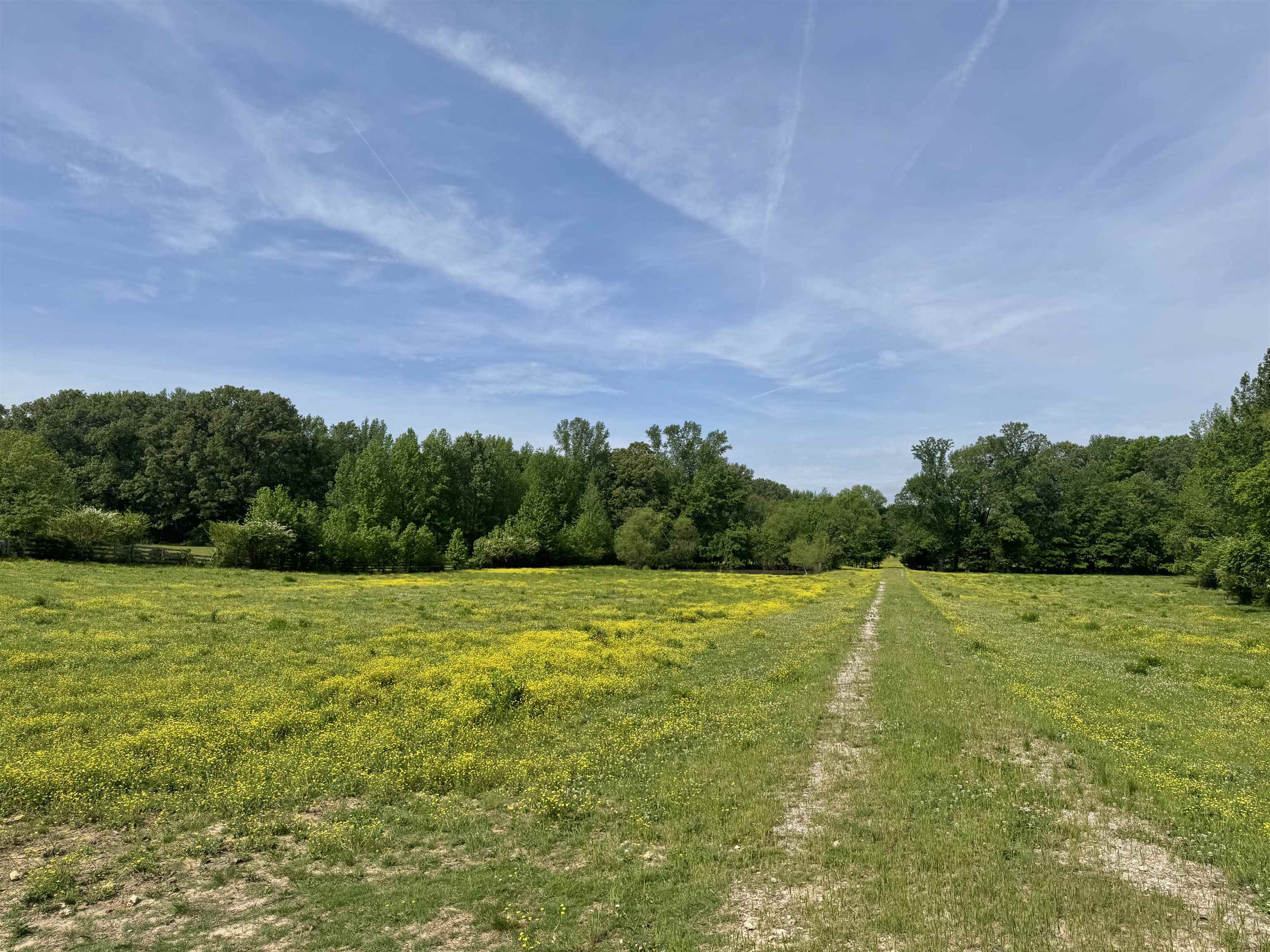 270 Country Club Rd  Somerville TN 38068 photo