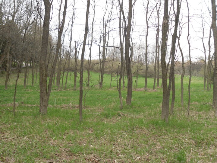 Property Photo:  S Lakeshore Drive S  MI 49431 