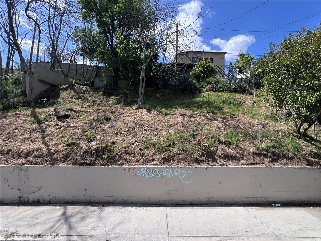 0 N Record Ave  Los Angeles CA 90063 photo