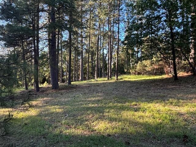 Property Photo:  20035 Redwood Court  CA 95631 