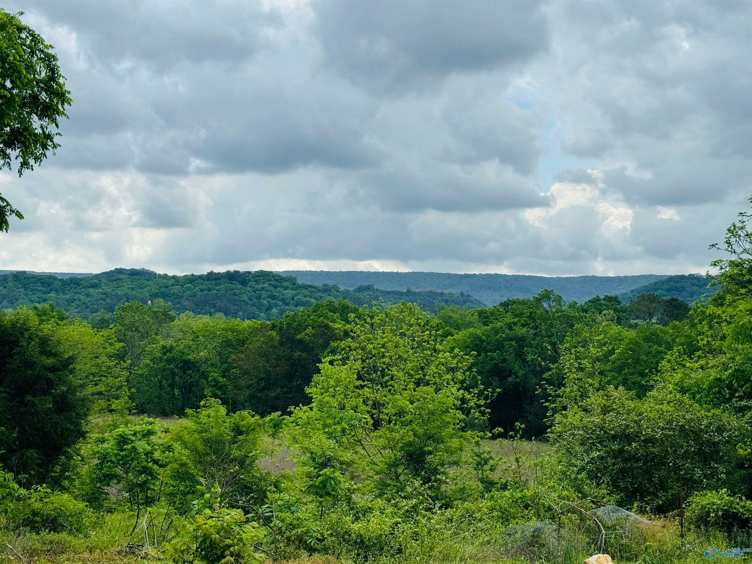 Property Photo: 2803 Browder Road NW AL 35968