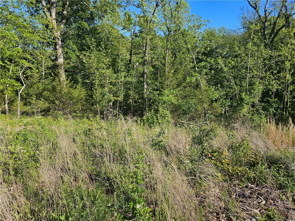 Property Photo: Tbd Lot 27 Wildwood Drive AR 72756