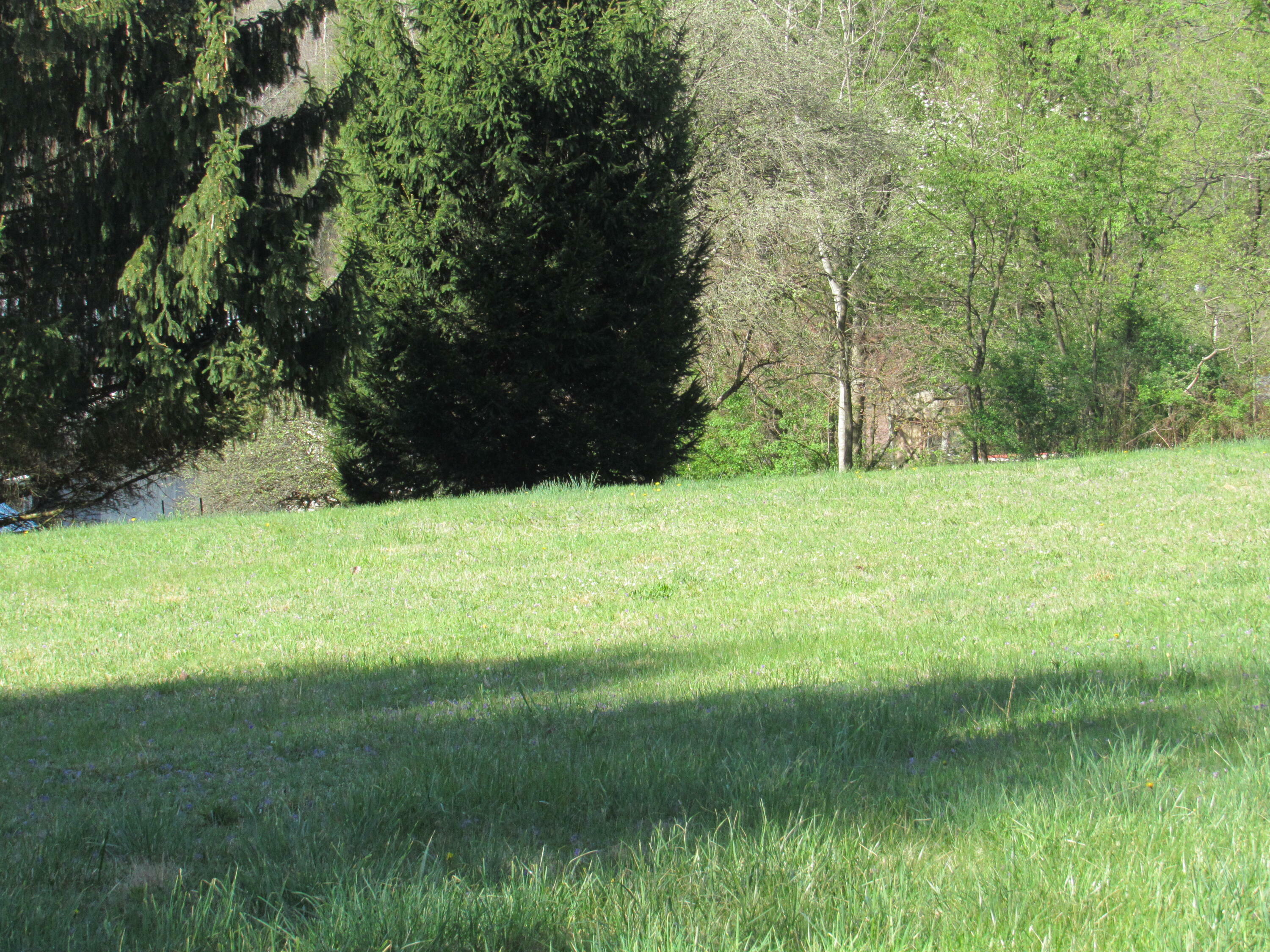 Property Photo: Hill St PA 15840