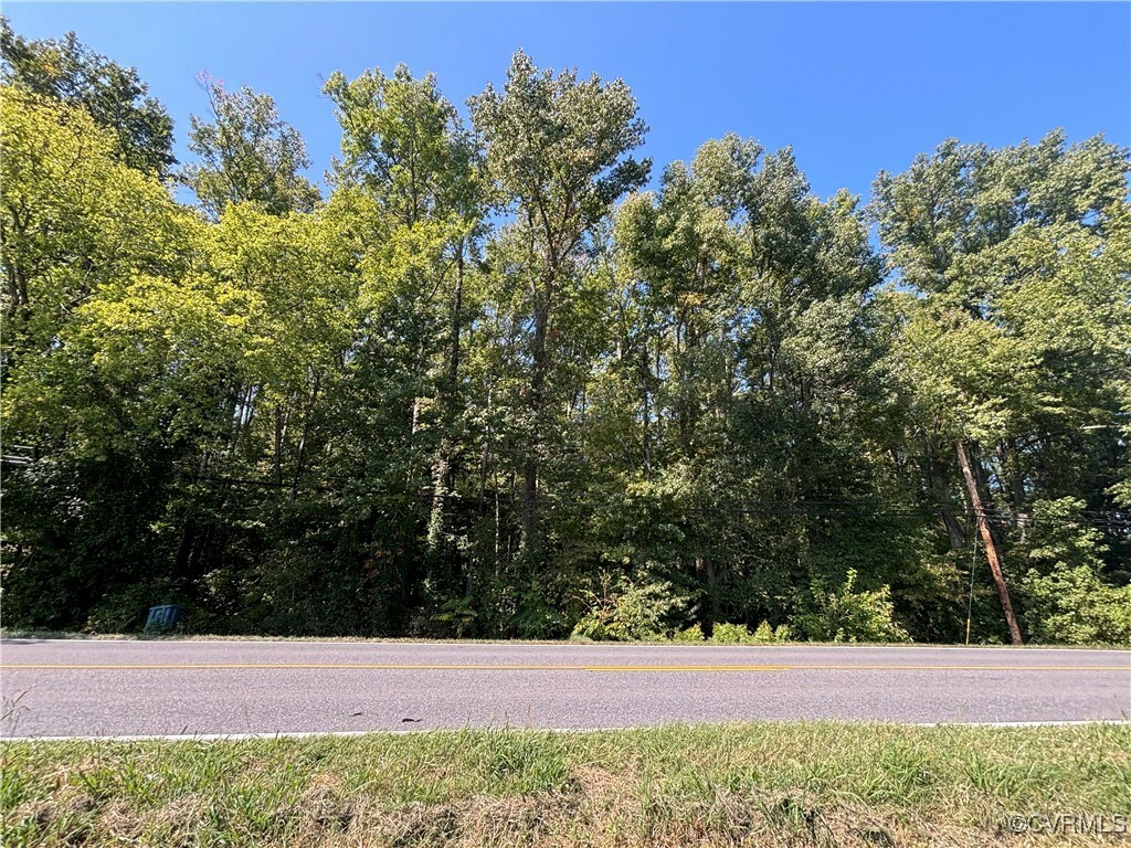 1579 New Market Road  Henrico VA 23231 photo