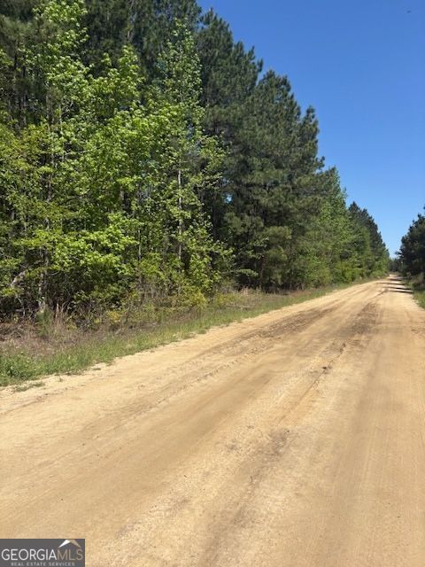 Property Photo: 0 Mt Pleasant Church Road Parcel C GA 31071