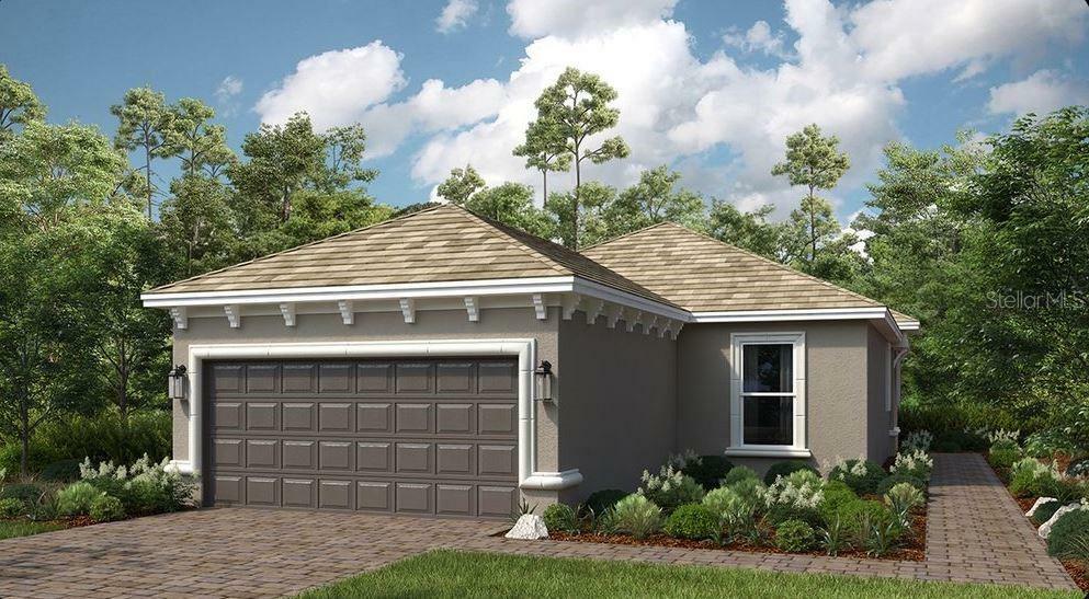 29524 Zupetta Lane  Wesley Chapel FL 33543 photo