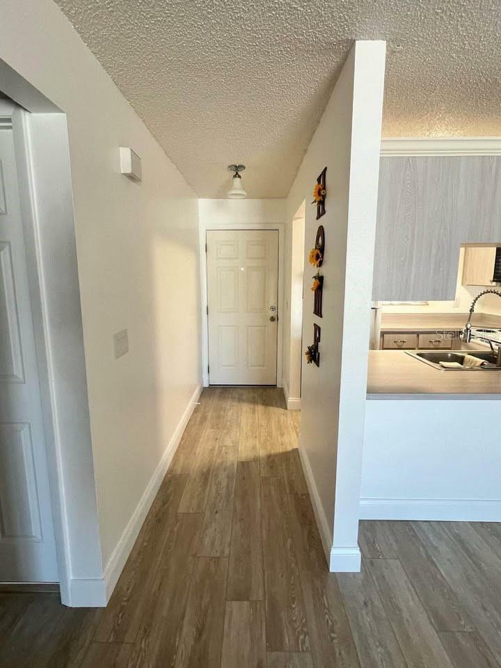 Property Photo: 39132 County Road 54 2028 FL 33542