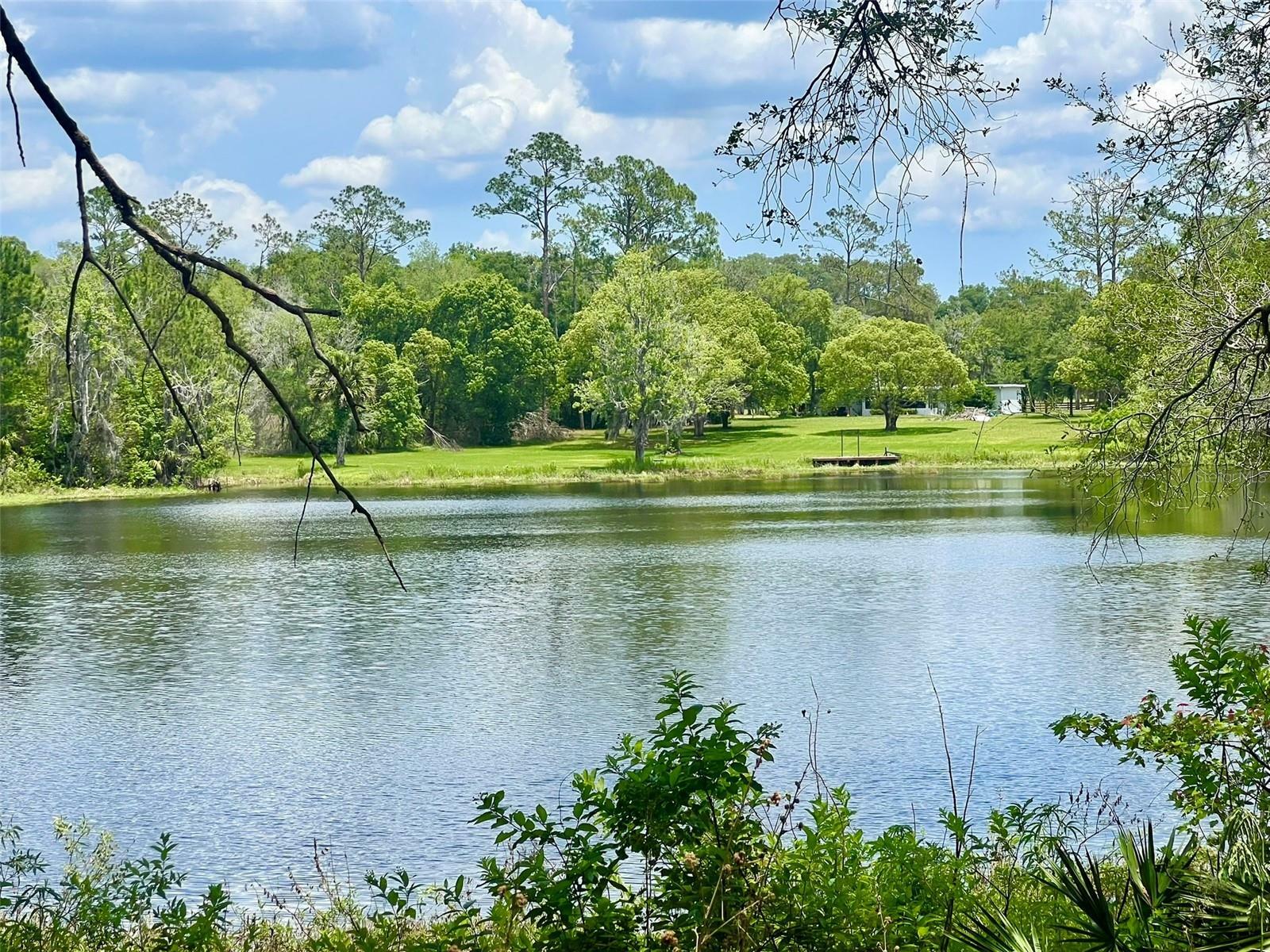 Property Photo: Vista Street FL 32744