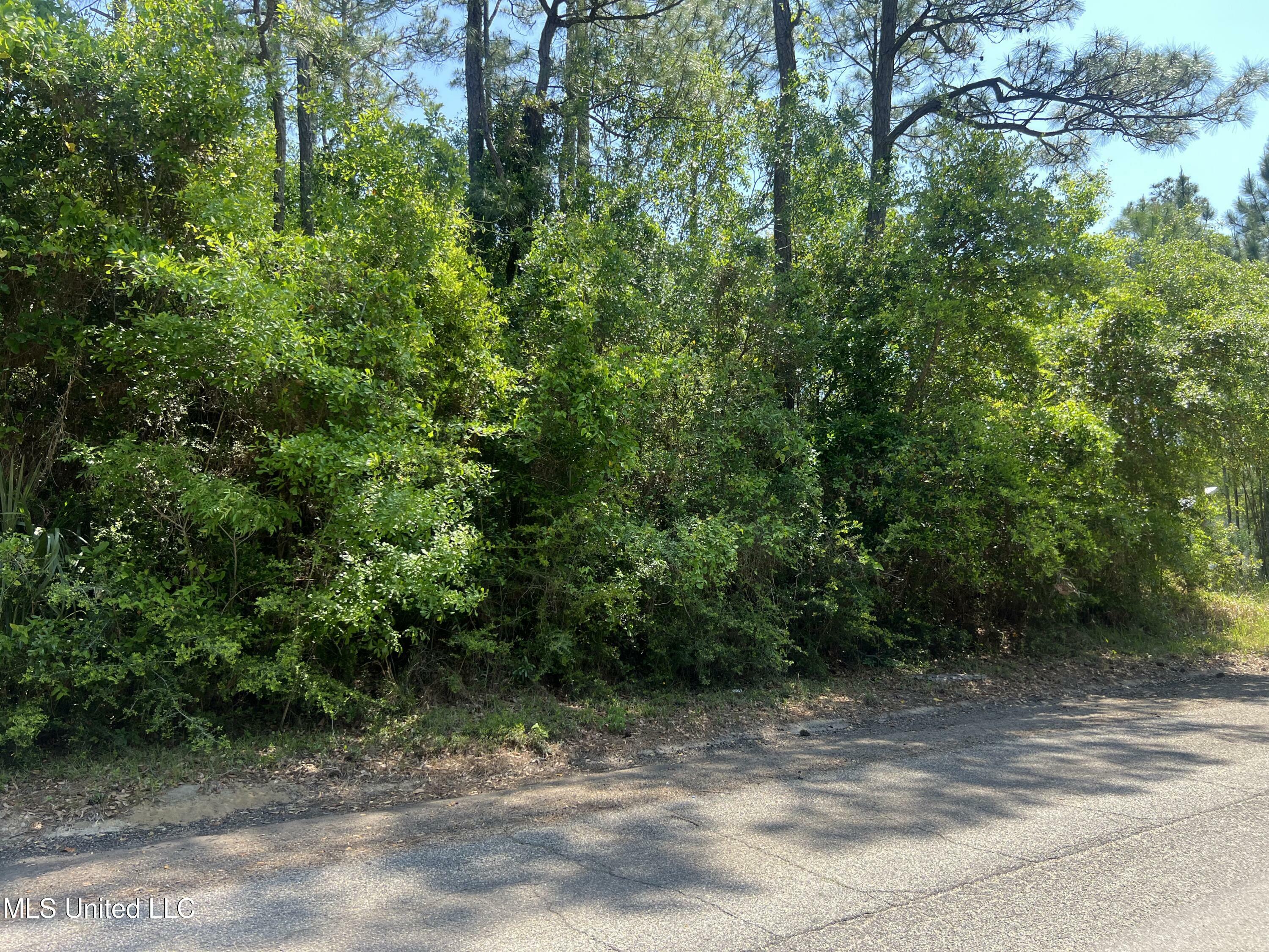 Property Photo: 322 Wittman Avenue MS 39571